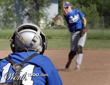 Photoshop Design by Petrushall