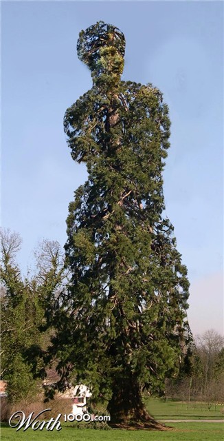 Photoshop Design by Mandrak