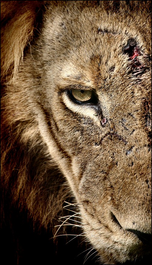 Photography by Juicer for DesignCrowd (Community Contests) | Design #8976315