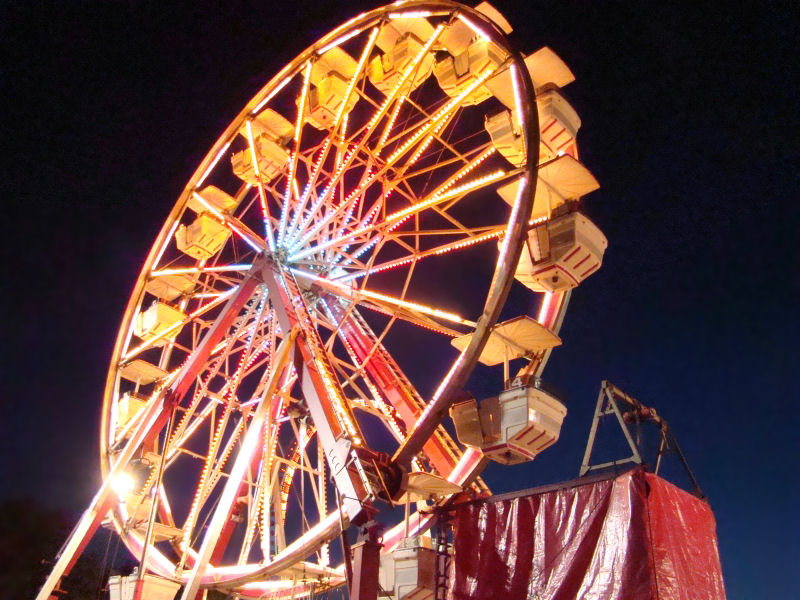 Photography by mandabear1023 for DesignCrowd (Community Contests) | Design #8977486