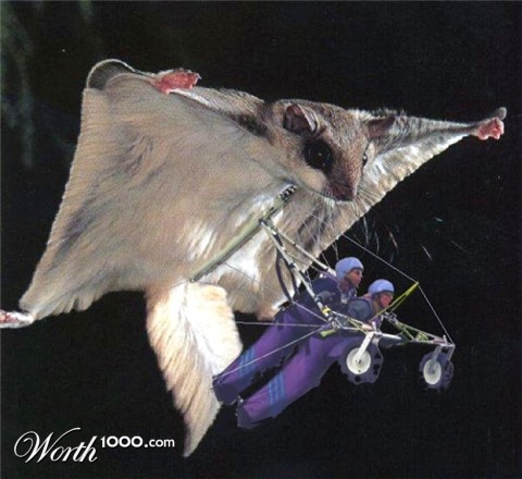 Photoshop Design by LadyHawk771