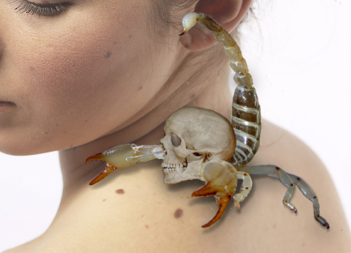 Photoshop Design by bicyclewilli for DesignCrowd (Community Contests) | Design #8976276