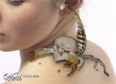 Photoshop Design by bicyclewilli