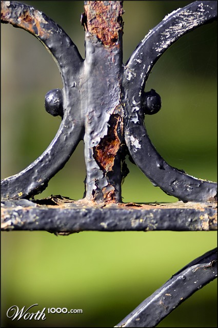 Photography by SigloV