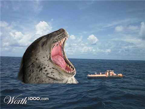 Photoshop Design by pterasaur