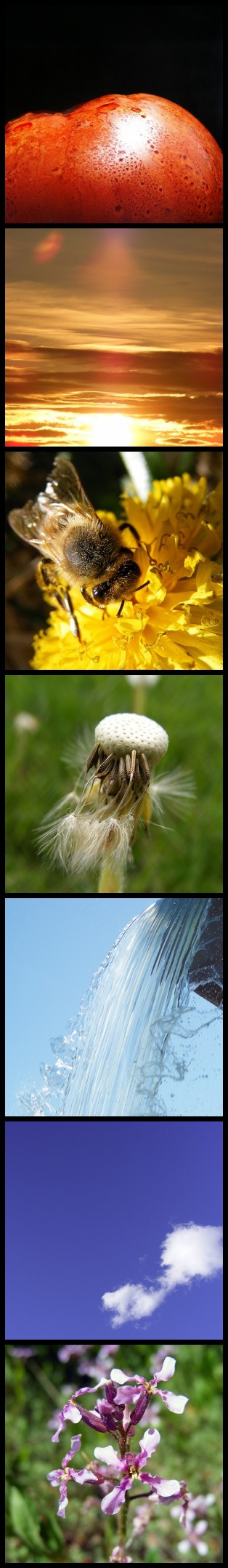 Photography by imthinkingoutloud for DesignCrowd (Community Contests) | Design #8976364