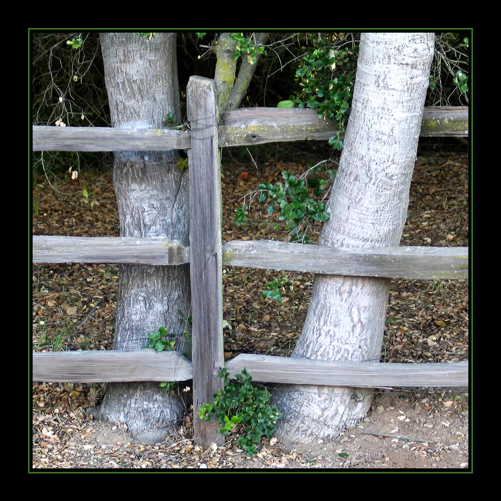 Fotografía por digammo para DesignCrowd (Community Contests) | Diseño #8976400