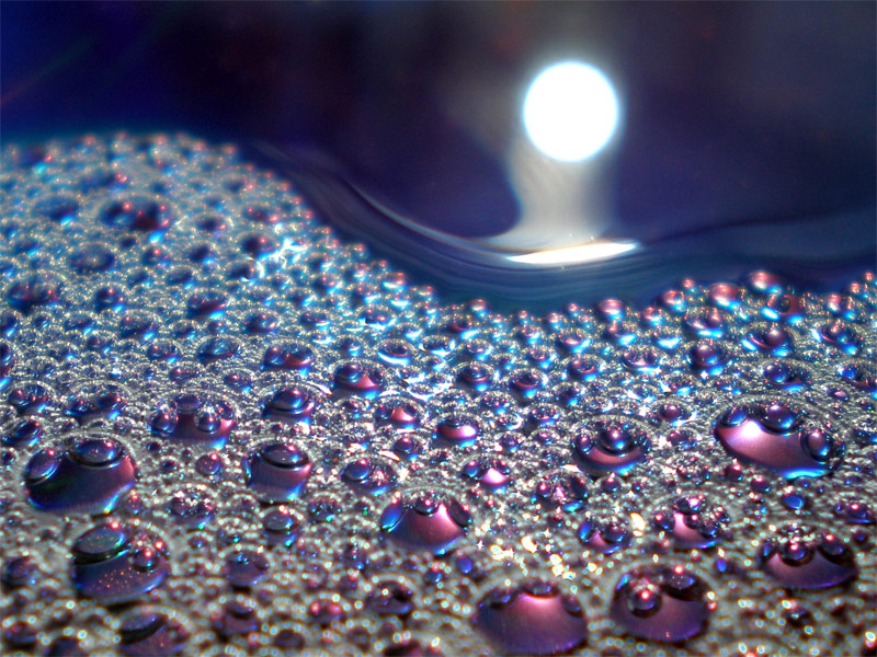 Photography by amirbse for DesignCrowd (Community Contests) | Design #8974742