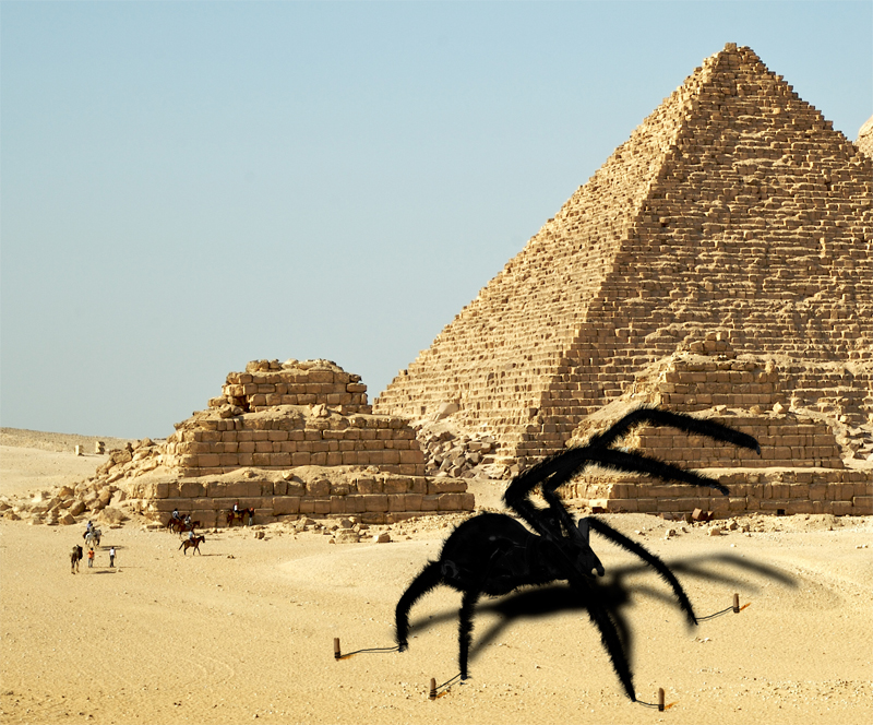 Design Photoshop par maxMESA pour DesignCrowd (Community Contests) | Design #8981546