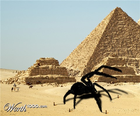 Photoshop Design by maxMESA