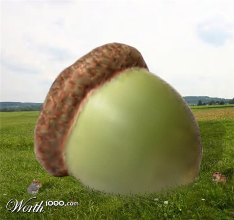 Photoshop Design by Chimmi