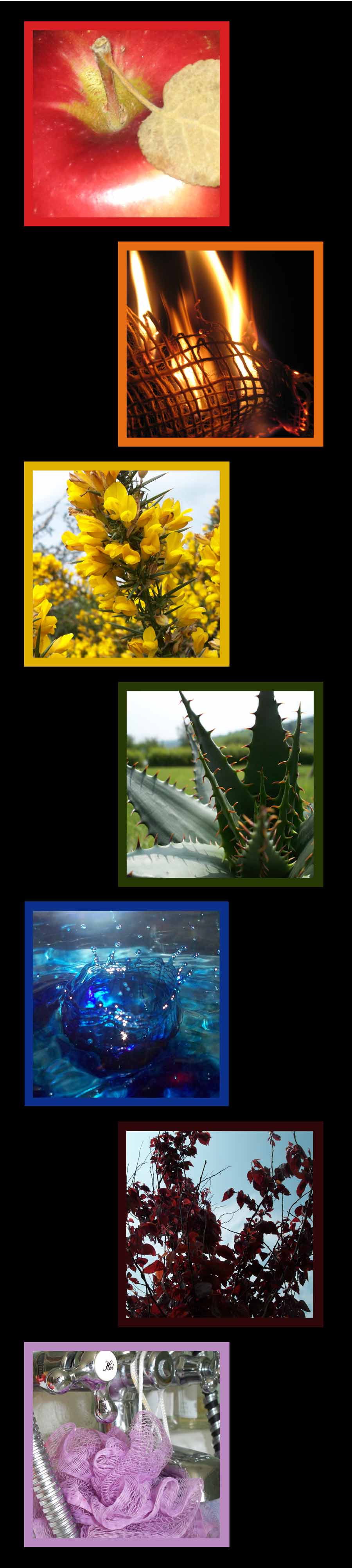 Photography by Rouskey for DesignCrowd (Community Contests) | Design #8976373