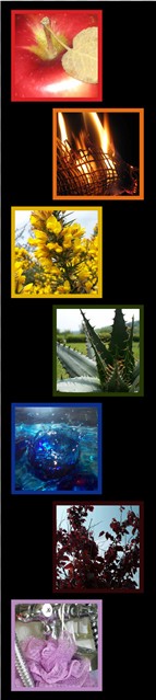 Photography by Rouskey