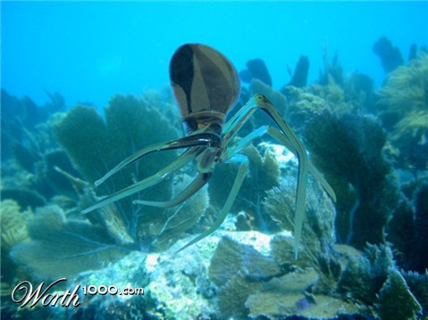 Photoshop Design by siiimon