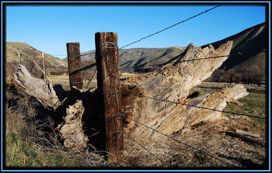 Photography by ClickChick for DesignCrowd (Community Contests) | Design #8976440