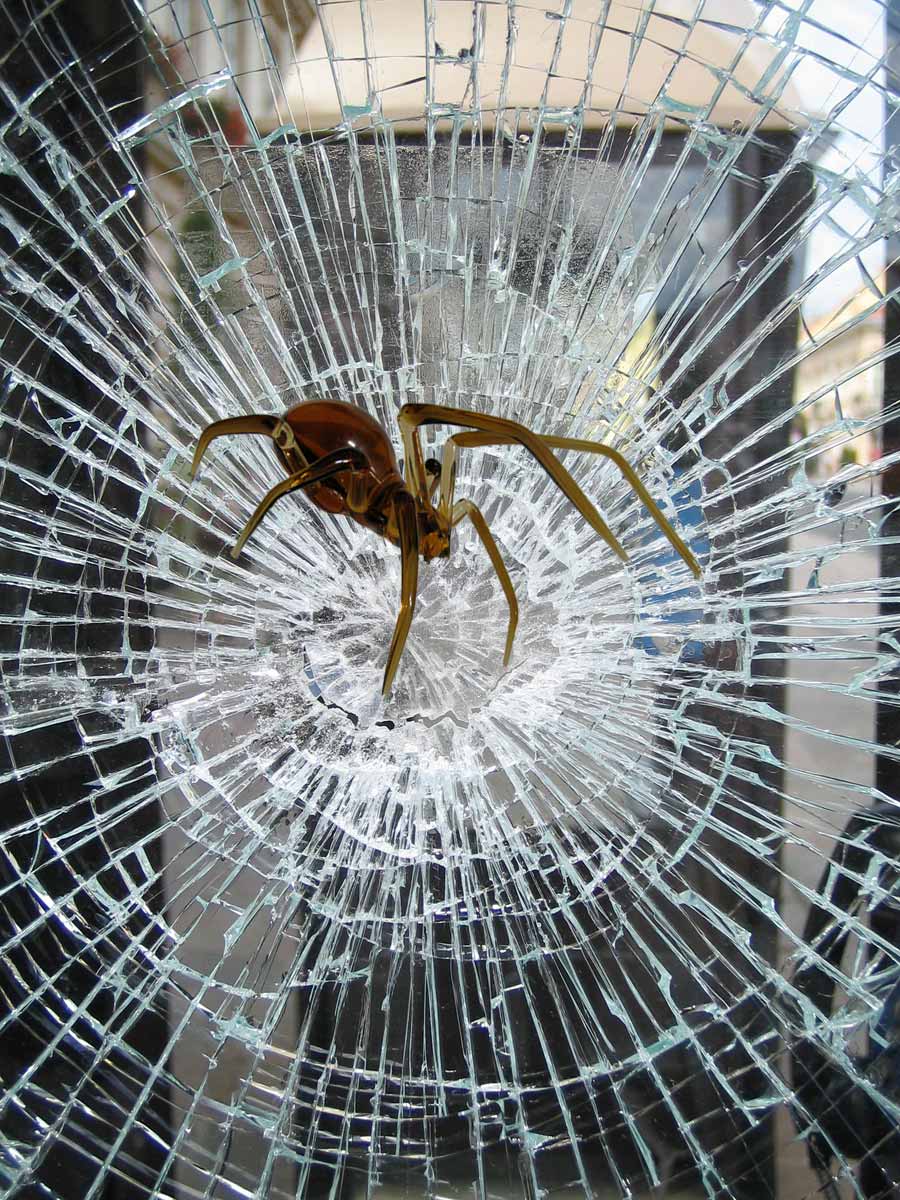 Photoshop Design by jcsheng505 for DesignCrowd (Community Contests) | Design #8981451