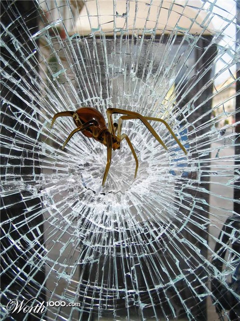 Photoshop Design by jcsheng505