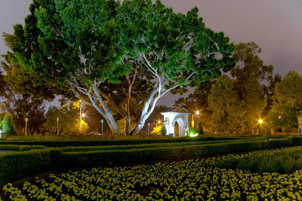 Photographie par isaidwhat pour DesignCrowd (Community Contests) | Design #8977513