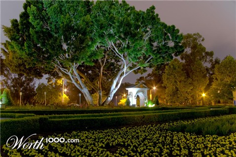 Photography by isaidwhat