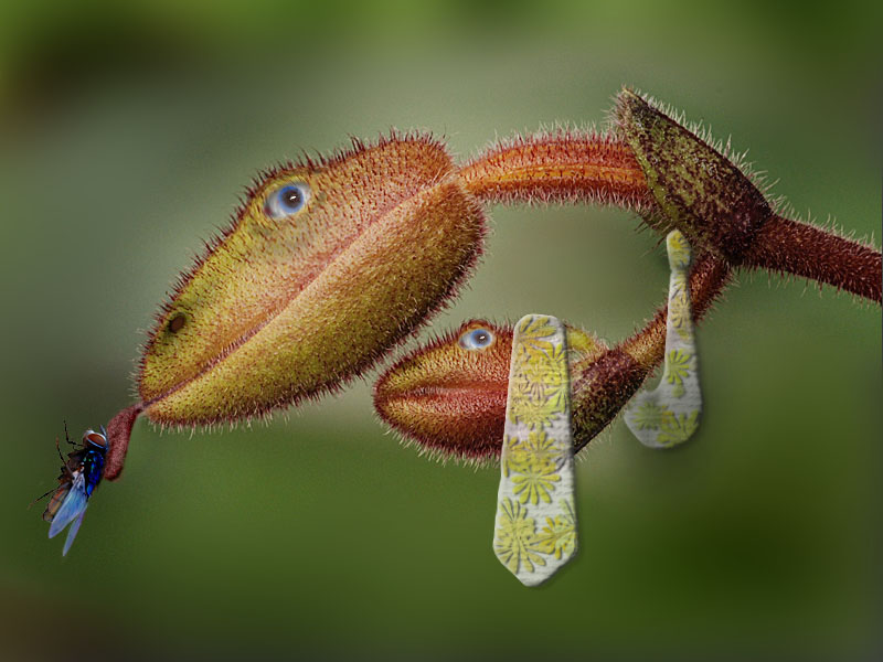 Design Photoshop par colleague pour DesignCrowd (Community Contests) | Design #8975874