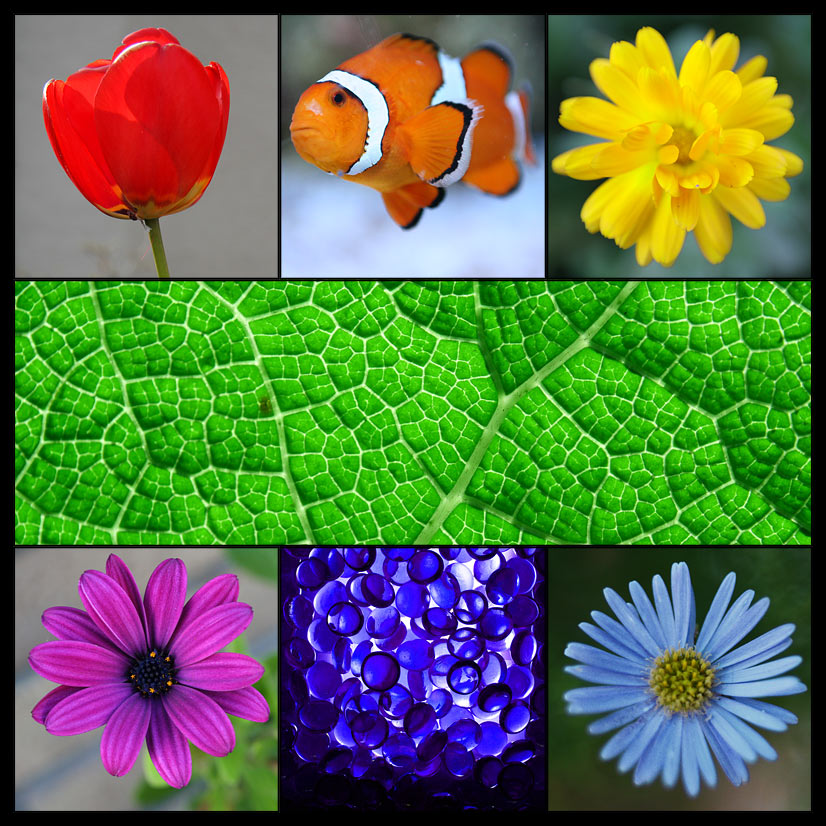 Fotografie von SigloV für DesignCrowd (Community Contests) | Design #8976390