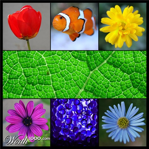 Photography by SigloV