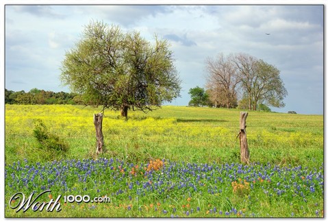 Photography by Fishcat