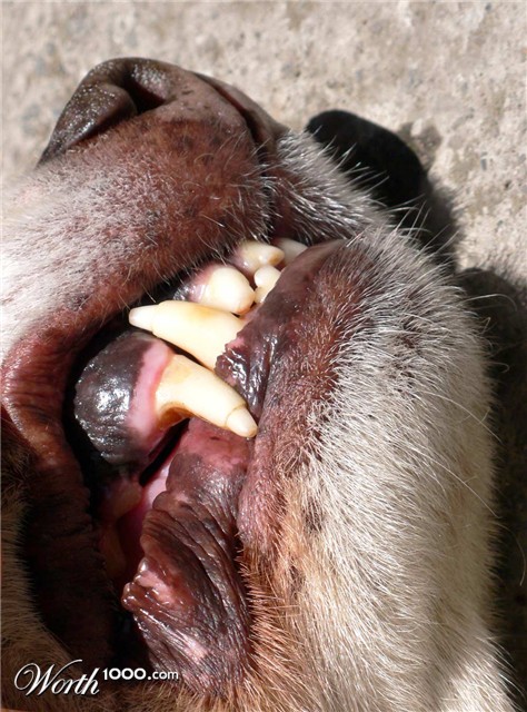 Photography by sausirhi