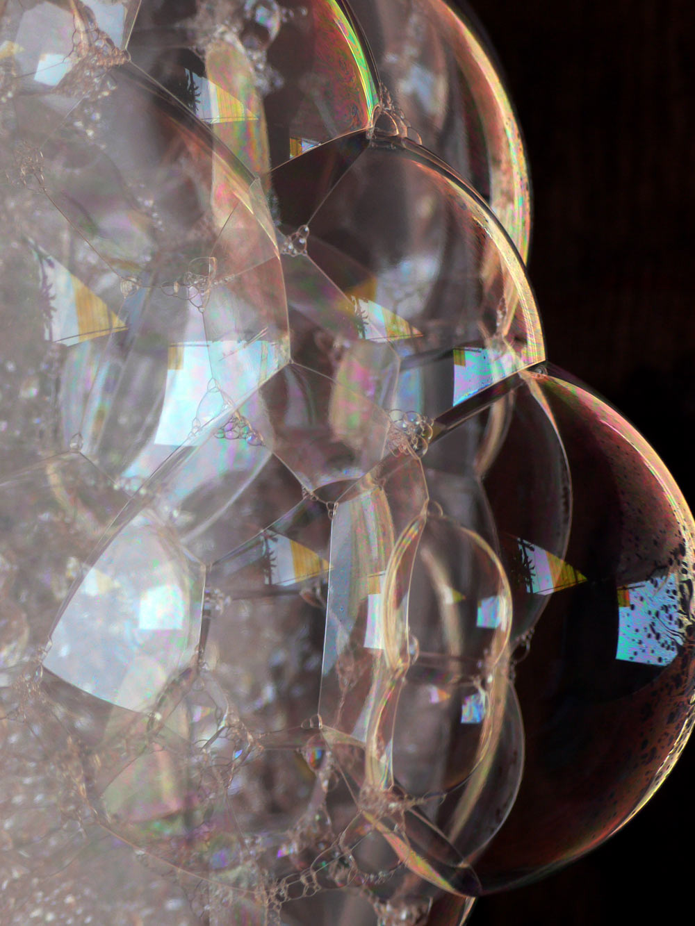 Photography by sausirhi for DesignCrowd (Community Contests) | Design #8974723