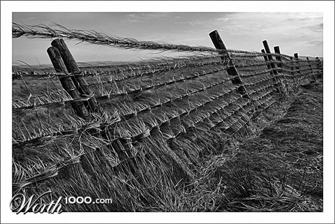 Photography by wiggster