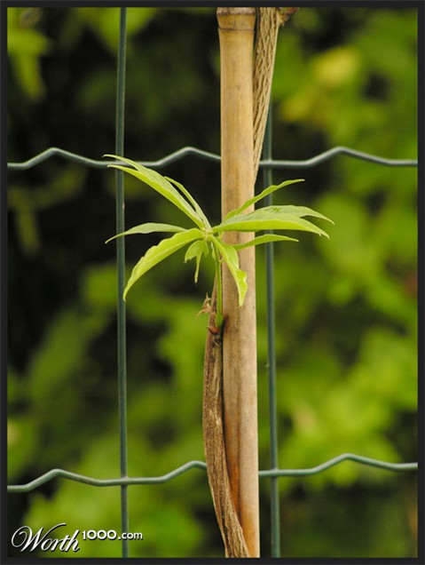 Photography by ercolano