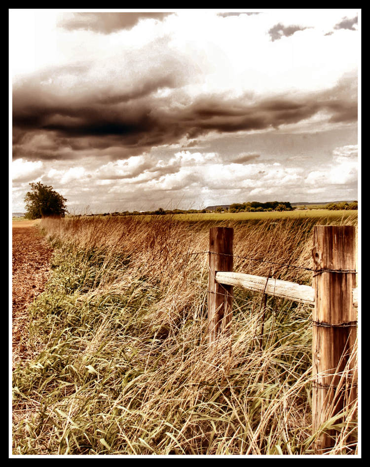 Photographie par Suziecuchon pour DesignCrowd (Community Contests) | Design #8976405