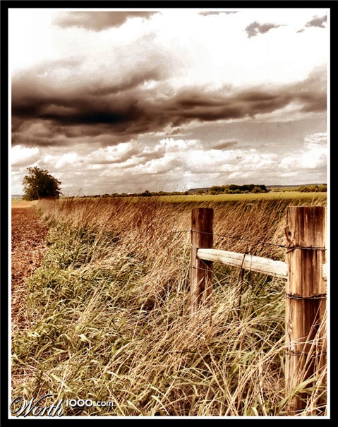 Photography by Suziecuchon