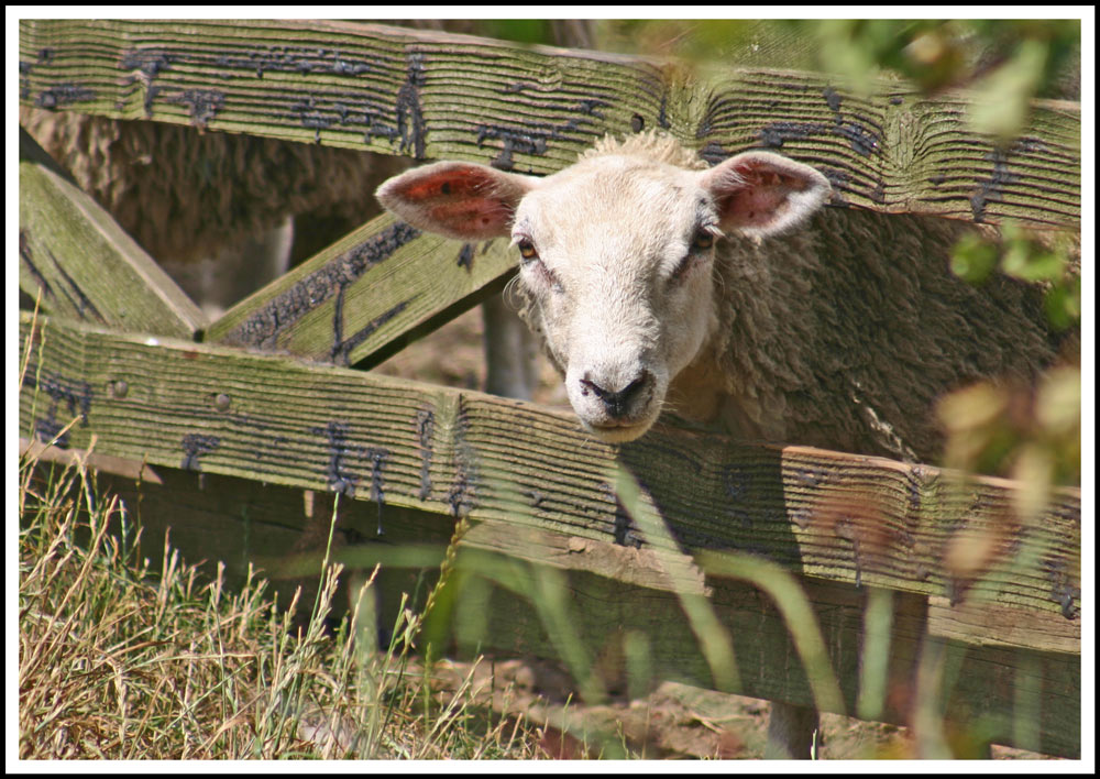 Photography by DurhamTyke for DesignCrowd (Community Contests) | Design #8976488