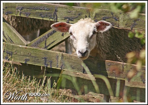 Photography by DurhamTyke