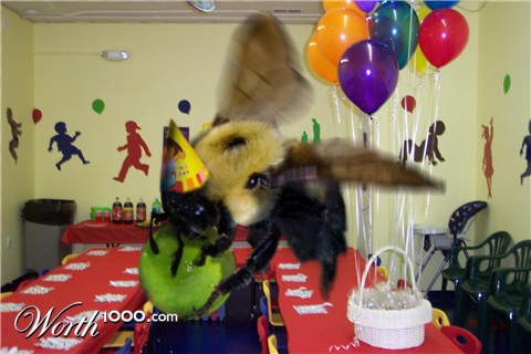 Photoshop Design by Tixevil