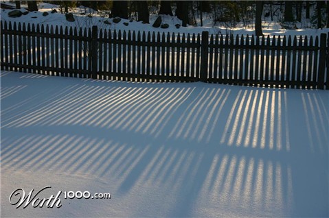 Photography by bbfarmer