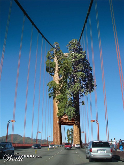 Photoshop Design by frangod