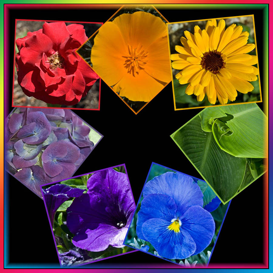 Fotografía por ClickChick para DesignCrowd (Community Contests) | Diseño #8976419