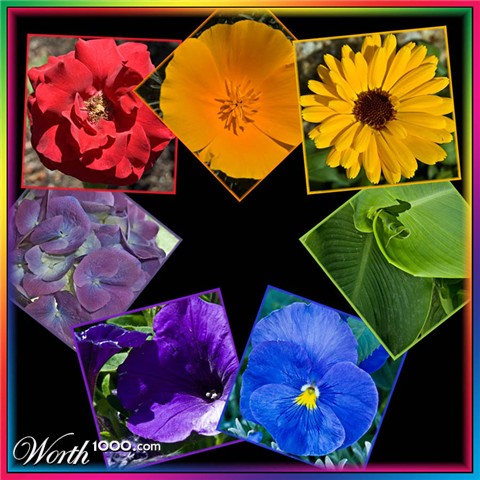 Photography by ClickChick