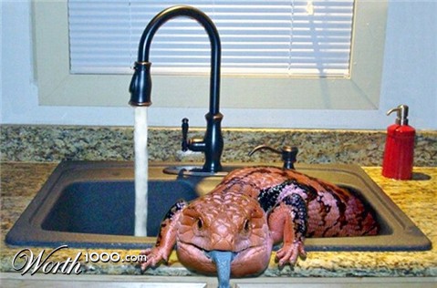 Photoshop Design by LadyHawk771