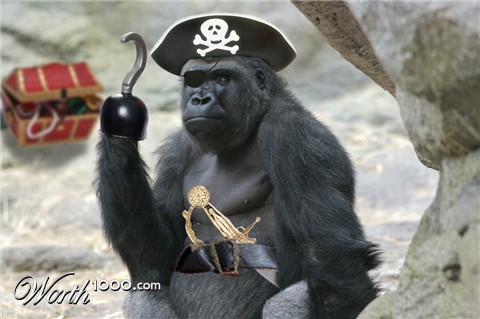 Photoshop Design by Roymeddy