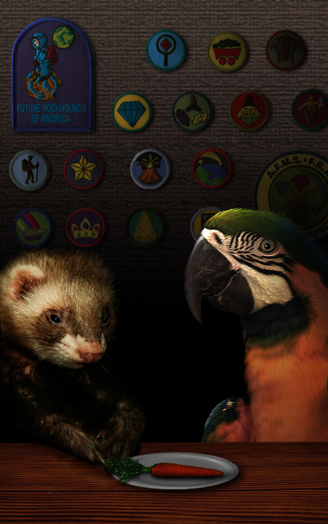 Diseño de Photoshop por h2oscienceguy081 para DesignCrowd (Community Contests) | Diseño #8975946