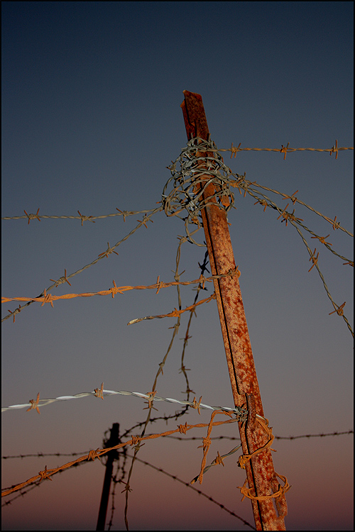 Photography by Jesusito for DesignCrowd (Community Contests) | Design #8976492