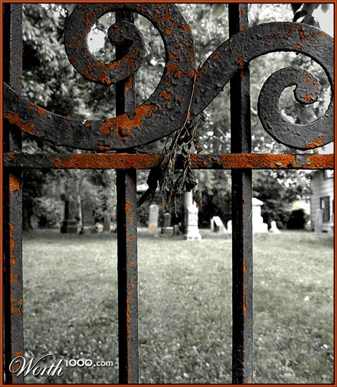 Photography by Hickster81