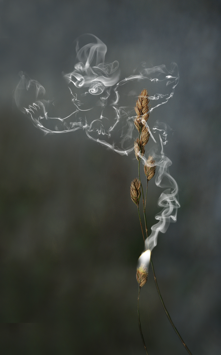 Photoshop Design by paraloid for DesignCrowd (Community Contests) | Design #8982625