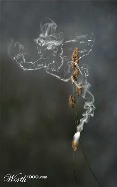 Photoshop Design by paraloid