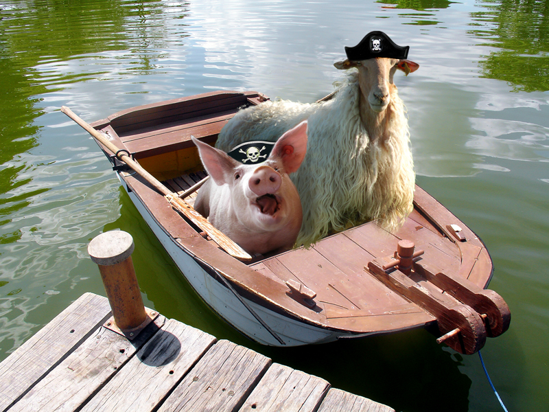 Photoshop Design by mosezmo for DesignCrowd (Community Contests) | Design #8977710