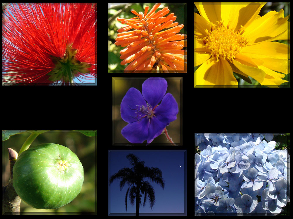 Photographie par marssaf pour DesignCrowd (Community Contests) | Design #8976477