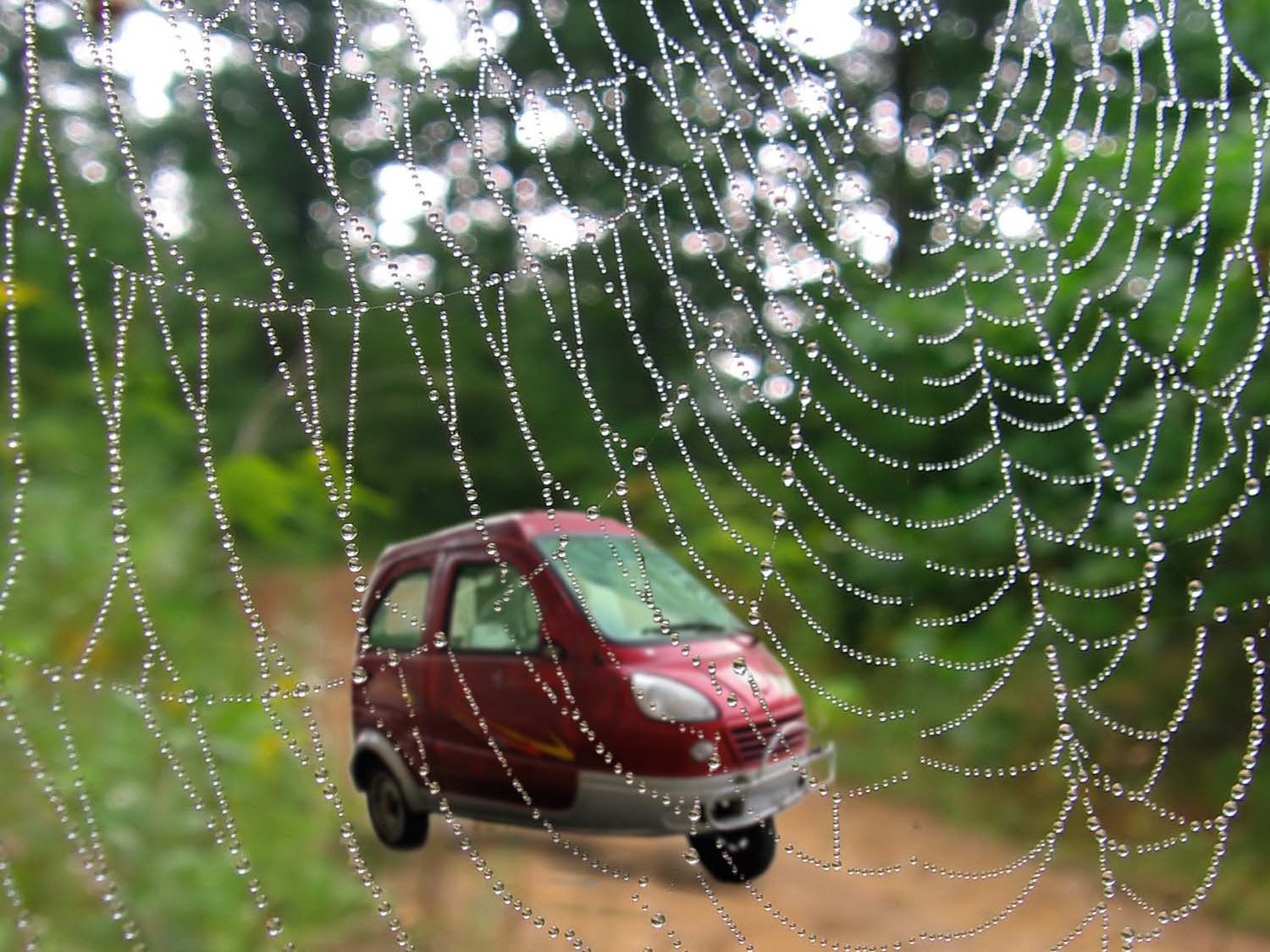 Diseño de Photoshop por Biddee para DesignCrowd (Community Contests) | Diseño #8978086